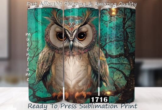 Owl, RTP Sublimation Tumbler Wrap, 30 oz, 20 oz, 15oz, 12 oz, Sublimation Print