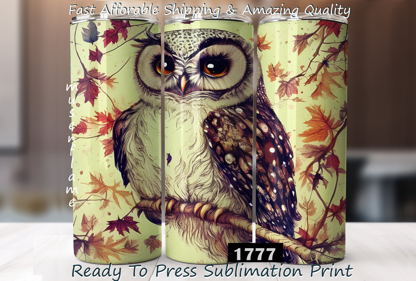 Floral Owl, RTP Sublimation Tumbler Wrap, 30 oz, 20 oz, 15oz, 12 oz, Sublimation Print